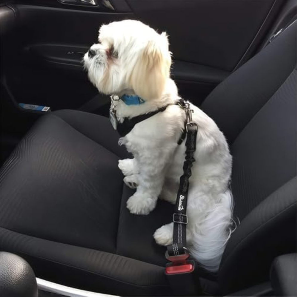 Arnés de seguridad para mascotas, correa elástica antigolpes para seguridad en el coche del perro