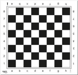 Cayro - Tablero Ajedrez Profesional - Blanco y Negro - Tablero de Plástico - Tamaño de 45 x 45 cm - Acabado Impecable - Diseño Elegante - Resistente y Duradero