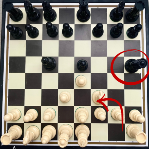 Evitar el mate pastor